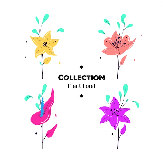 Vector floral plants collection