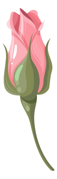 꽃 로맨틱 장식 핑크 식물 요소 장미 꽃 봉오리