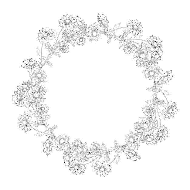 Vector floral round frame with flowers chamomile.