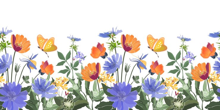 꽃 원활한 테두리입니다. 여름 꽃, 녹색 잎. 치커리, 아욱, gaillardia, 금잔화, Oxeye 데이지. 오렌지, 블루 꽃, 나비 흰색 배경에 고립.
