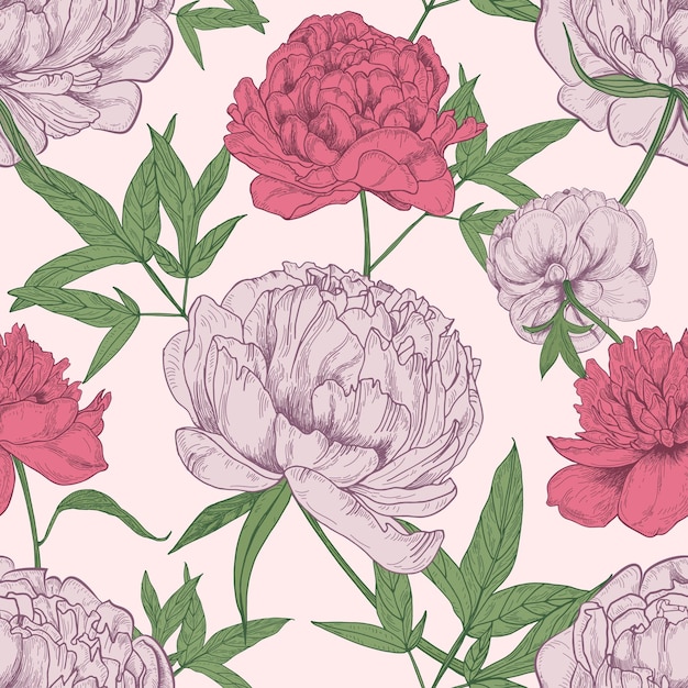 Vettore motivo floreale senza soluzione di continuità con bellissimi fiori di peonia disegnati a mano