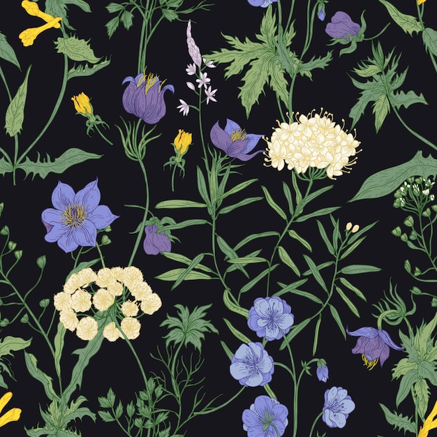 Floral seamless pattern with blooming wild flowers and meadow flowering plants