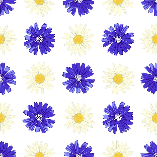 Floral seamless pattern with chicory and camomile.