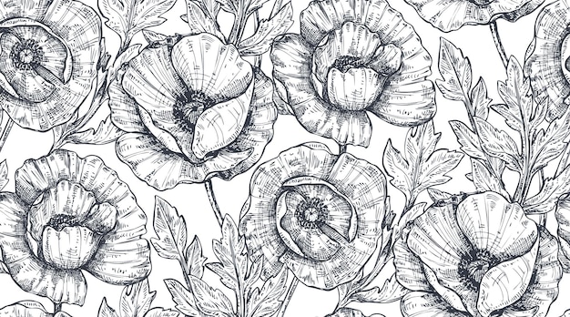 Motivo floreale senza soluzione di continuità con foglie e fiori di papavero disegnati a mano. illustrazione vettoriale monocromatica nello stile di abbozzo.