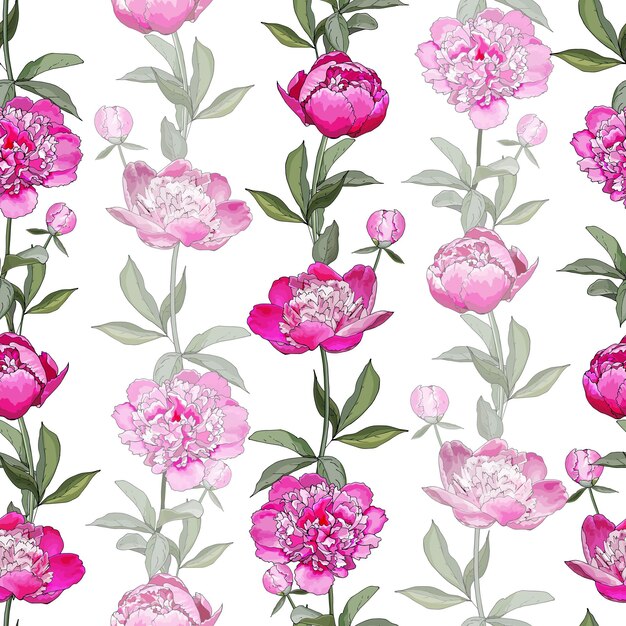 Floral seamless pattern with pink flowers Peonies.