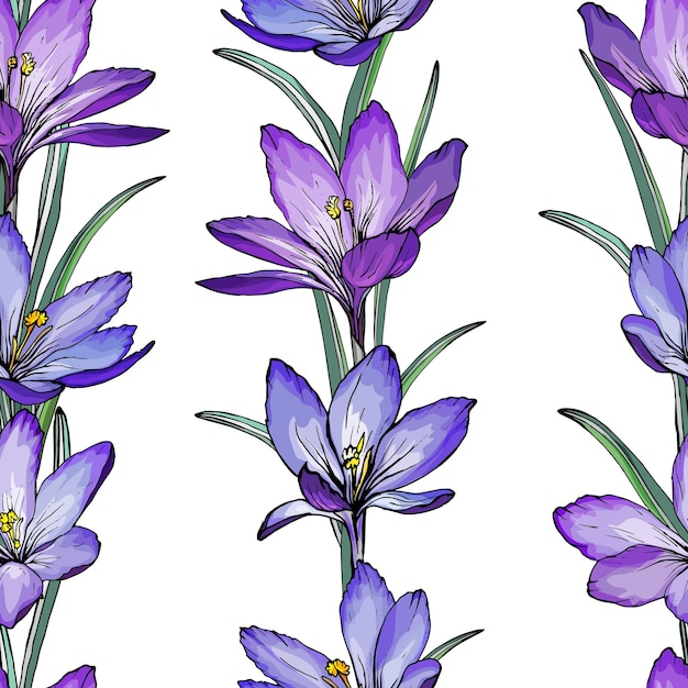 Vector floral seamless pattern with purple flowers crocus and green leaves