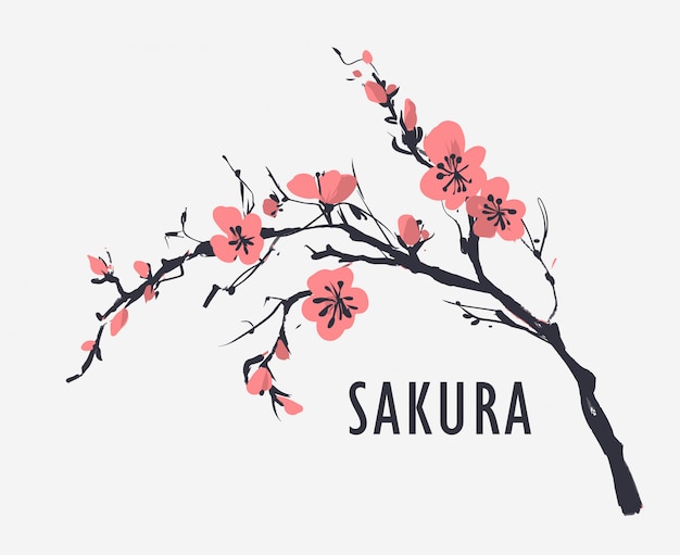 Vector floral seamless pattern with sakura flowers. vector illustration