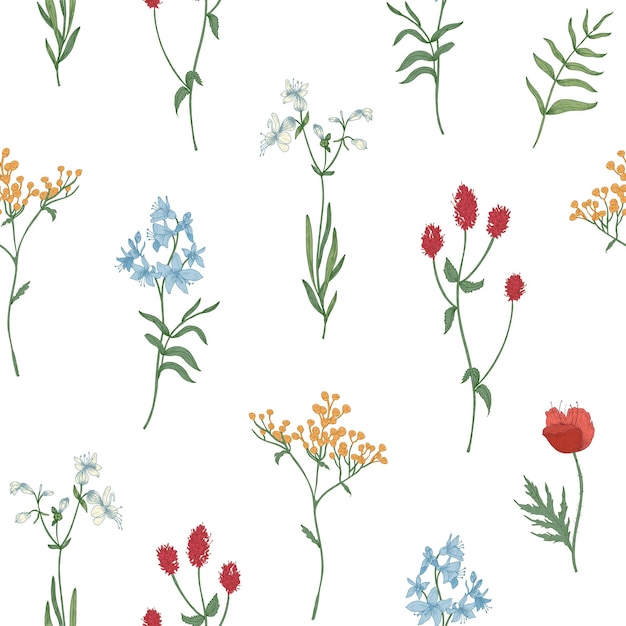 벡터 야생 개화 꽃과 흰색 꽃 허브와 꽃 원활한 패턴