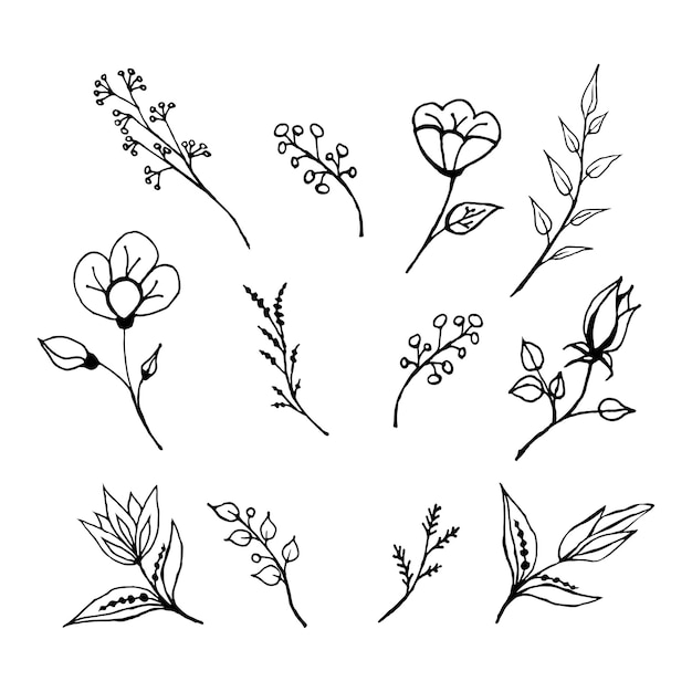 Floral set of branches and flowers in doodle style.