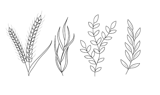 Floral set of hand drawn botanic elements Vector illustration