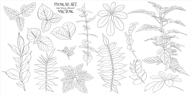 꽃 세트 잎과 가지 스케치 스타일에서 손으로 만든 디자인 요소