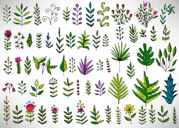 다채로운 손으로 그린 요소, 나무 가지, 부시, 식물, 열대 잎, 꽃, 밀기울의 꽃 세트