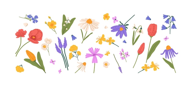 Floral set van verschillende bloeide wilde bloemen Bloeiende weide toppen wilde bloemen botanische ontwerp elementen bundel gekleurde platte vectorillustratie van veld flora geïsoleerd op witte achtergrond