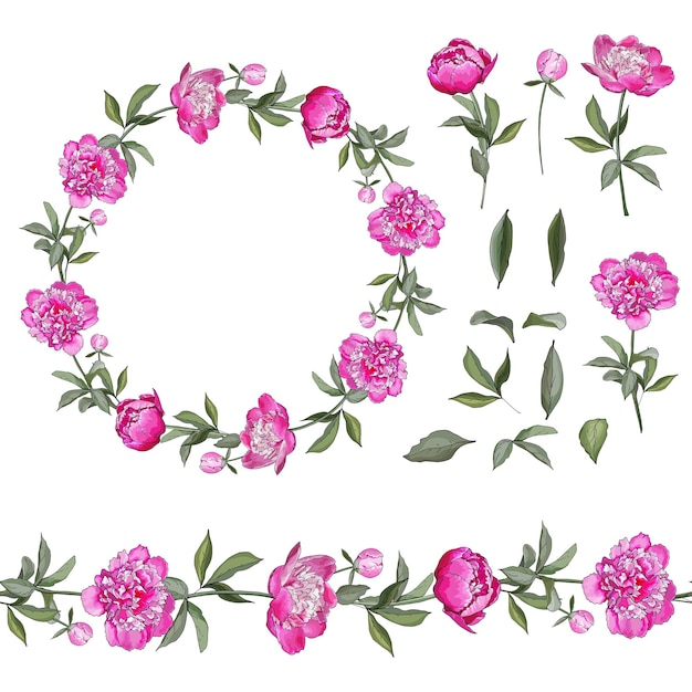 Floral set with pink flowers peony, wreath and endless horizontal border, green leaves.
