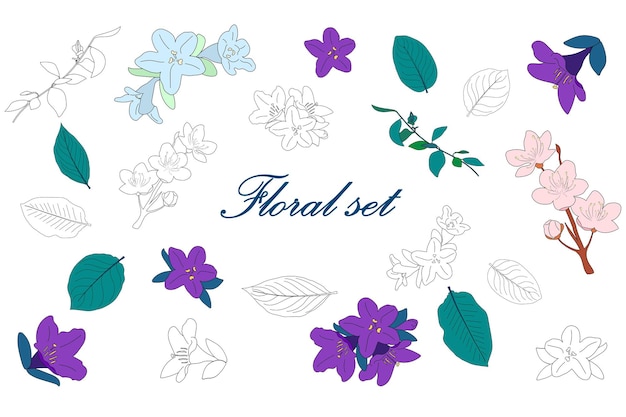 Vector floral set