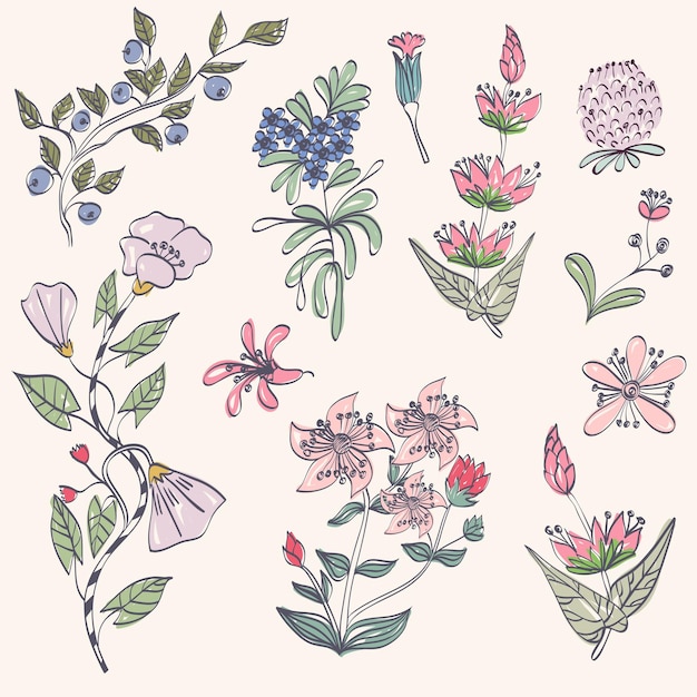 Vector floral set