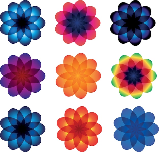 Floral Shapes In Various Colors Isolated On Transparent Background