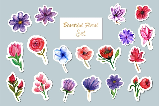 Vector floral stickers collection elements set