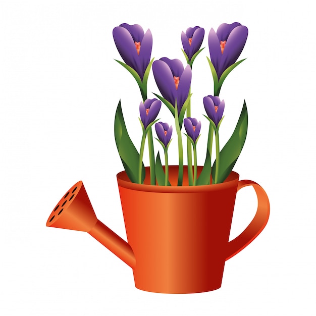 floral tropical cartoon