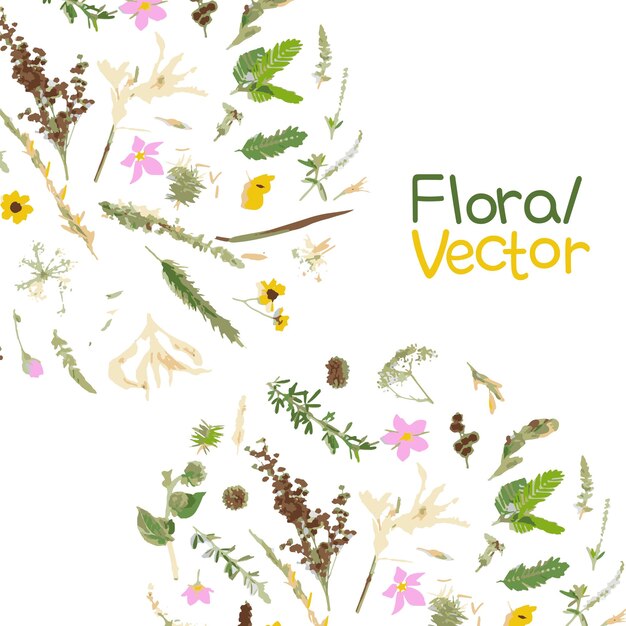 Vector floral vector 2