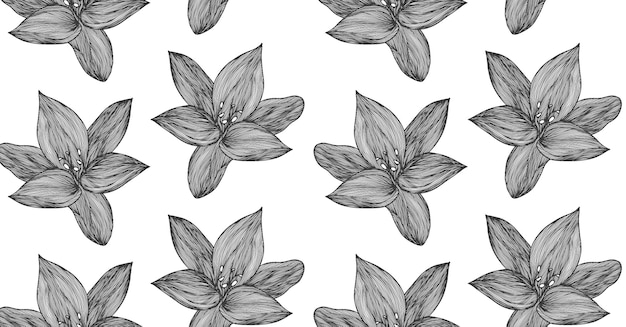 꽃 벡터 배경 흑백 선형 백합 꽃 라인 원활한 패턴 섬유 디자인 벡터 원활한 흑백 꽃 패턴