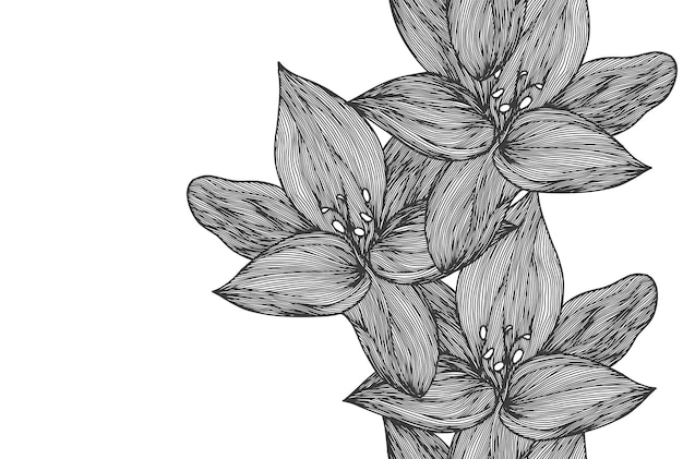 Цветочный векторный фон черно-белый линейная линия цветка лилии бесшовный узор для текстильного дизайна векторный бесшовный черно-белый цветочный узор