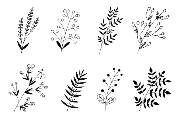 Floral vector doodle set met zwarte omtrek op een witte achtergrond Berry bladeren twijgen bloemblaadjes Element van natuur bloemschikken om een patroon decor voor kaart uitnodiging groet label te creëren