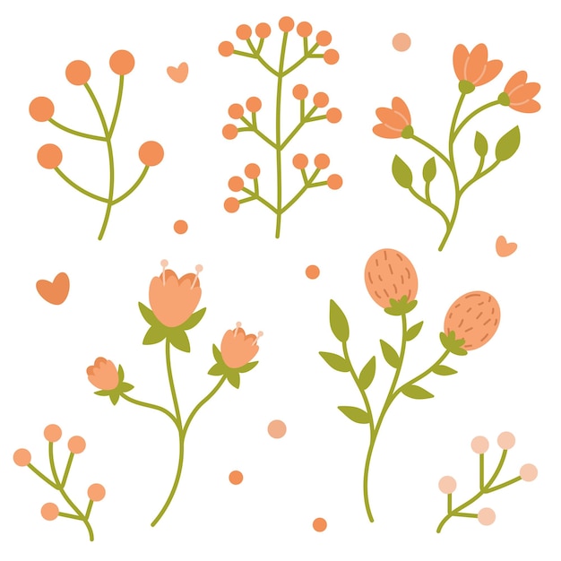 Floral vector set with leaves and flowers