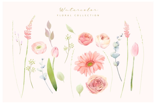 Floral watercolor collection