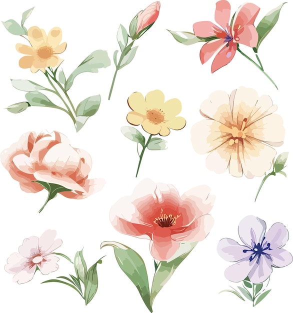 Floral Watercolor Illustration