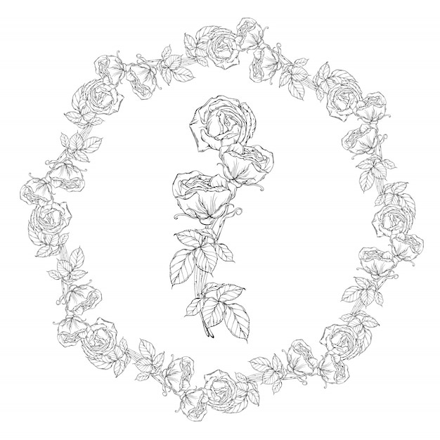 Vector floral wreath, black and white rose flowers