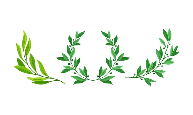 floral wreath and branches with green leaves set invitation greeting card banner design cartoon vector illustration