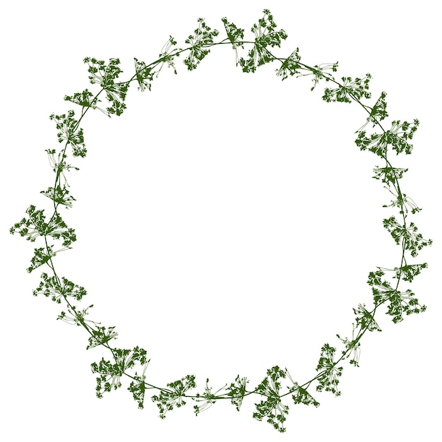 Vector floral wreath from silhouettes umbrella plants