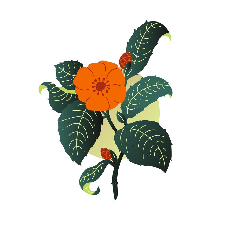Vector flores ornamentais