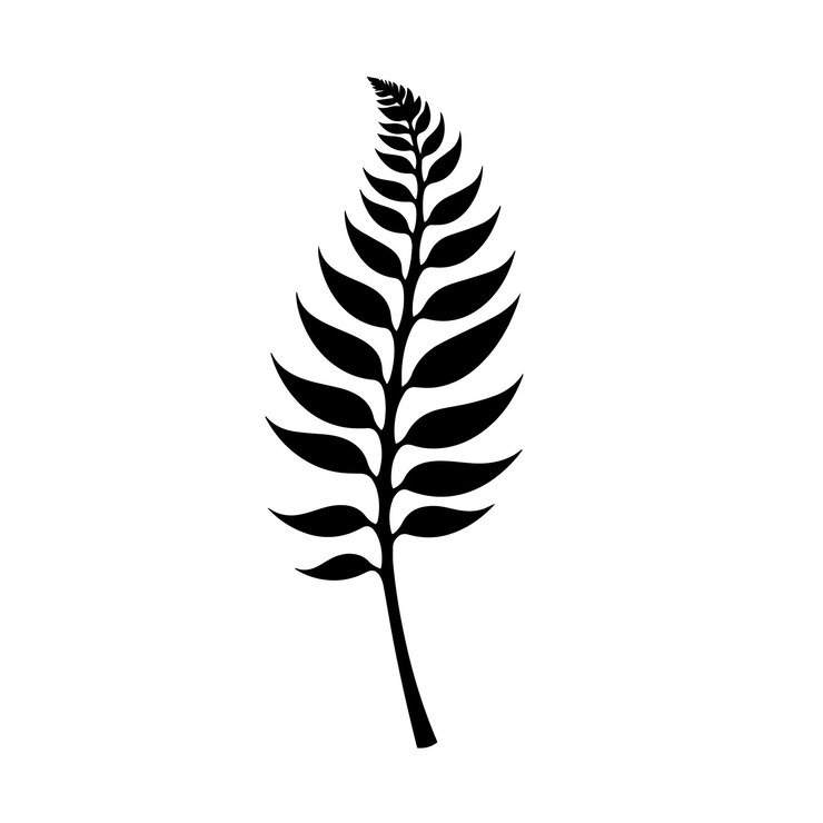 Vector flourishing fern silhouette vector illustration flourishing fern silhouette icon and sign