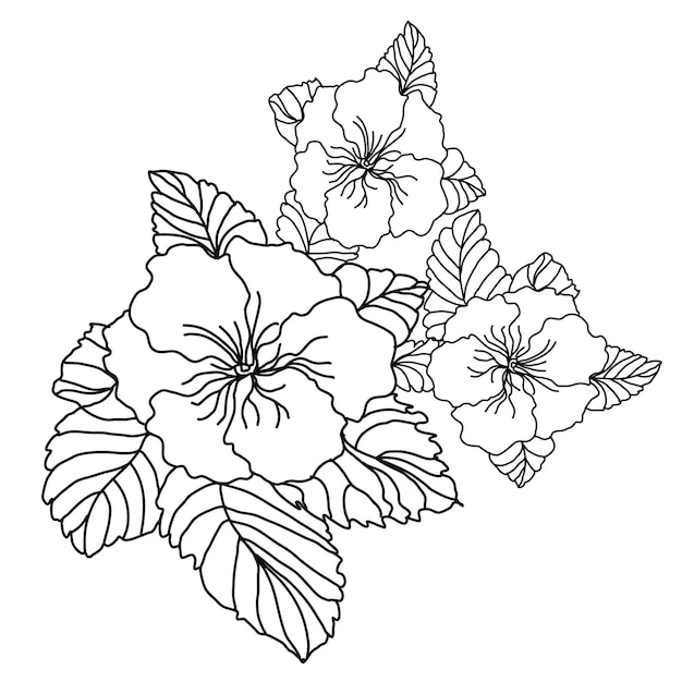 Vector flower arrangement of primrose flowers lineart