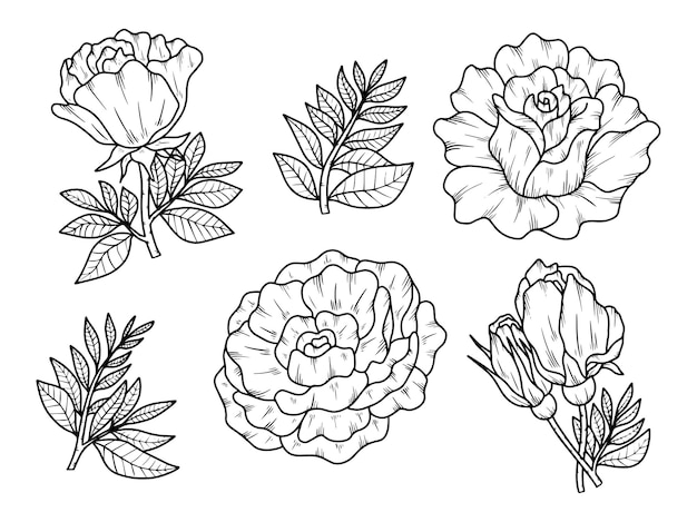 Flower arrangement with hand drawn line art