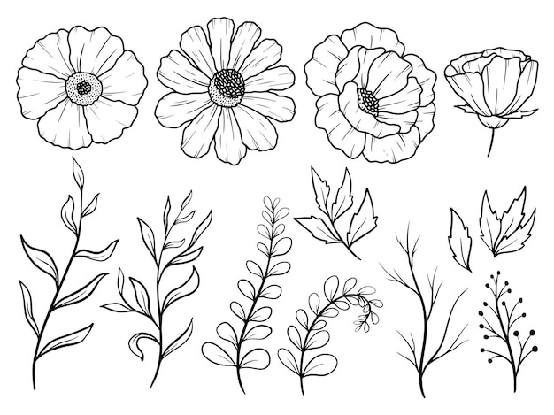 Flower arrangement with hand drawn line art