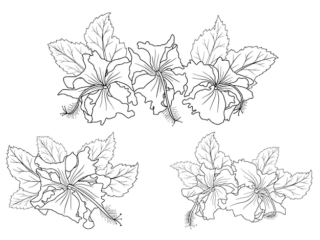 Vector flower arrangement with hand drawn line art