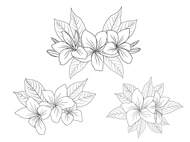 Flower arrangement with hand drawn line art