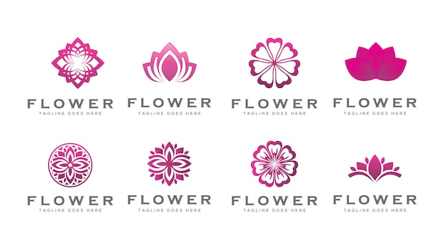 Modello di logo di loto bellezza fiore