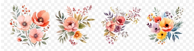 Flower blossom watercolor vector element set transparent isolated