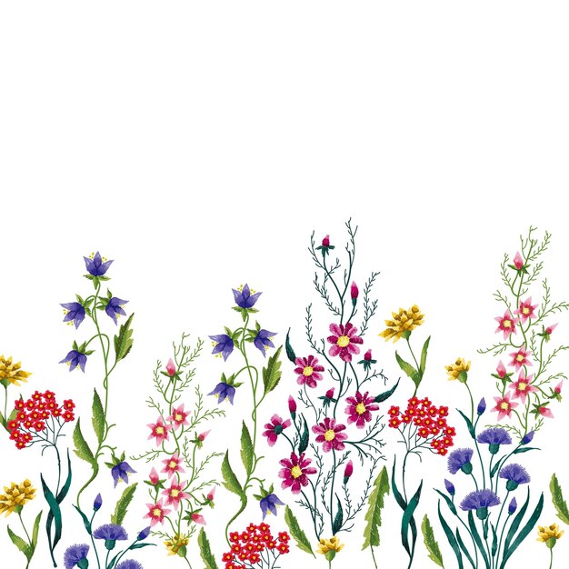 Vector flower border