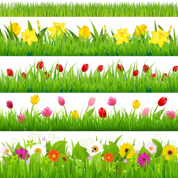 Flower borders set,  illustration