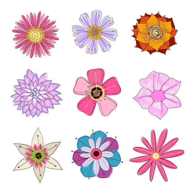 flower cartoon vector