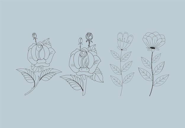 Vector flower collection isolated on white background vector