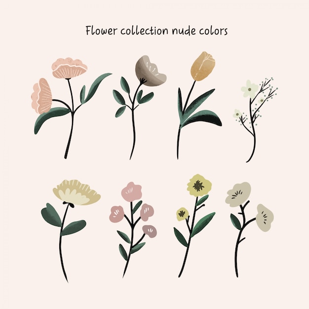 Vector flower collection nude colors