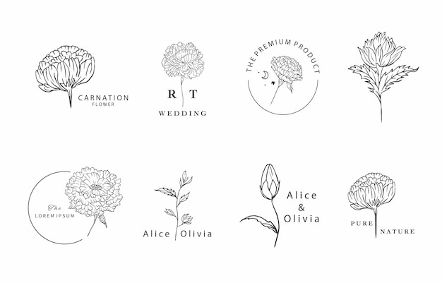 flower collection with line carnation elementVector illustration for iconstickerprintabletattoo