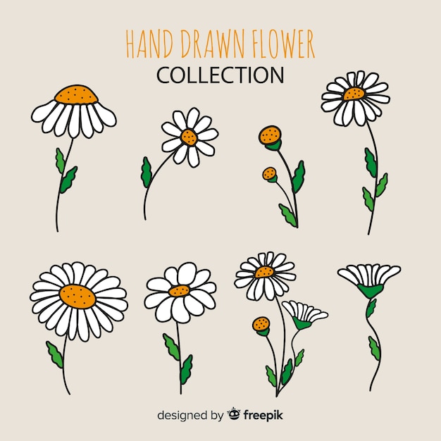 Vector flower collection