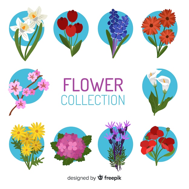 Flower collection